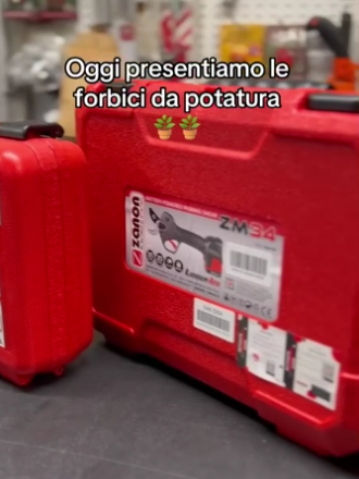 Forbici da potatura